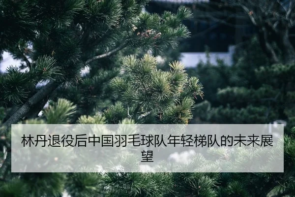 lin-dan-tui-yi-hou-zhong-guo-yu-mao-qiu-dui-nian-qing-ti-dui-de-wei-lai-zhan-wang-2-296.jpg